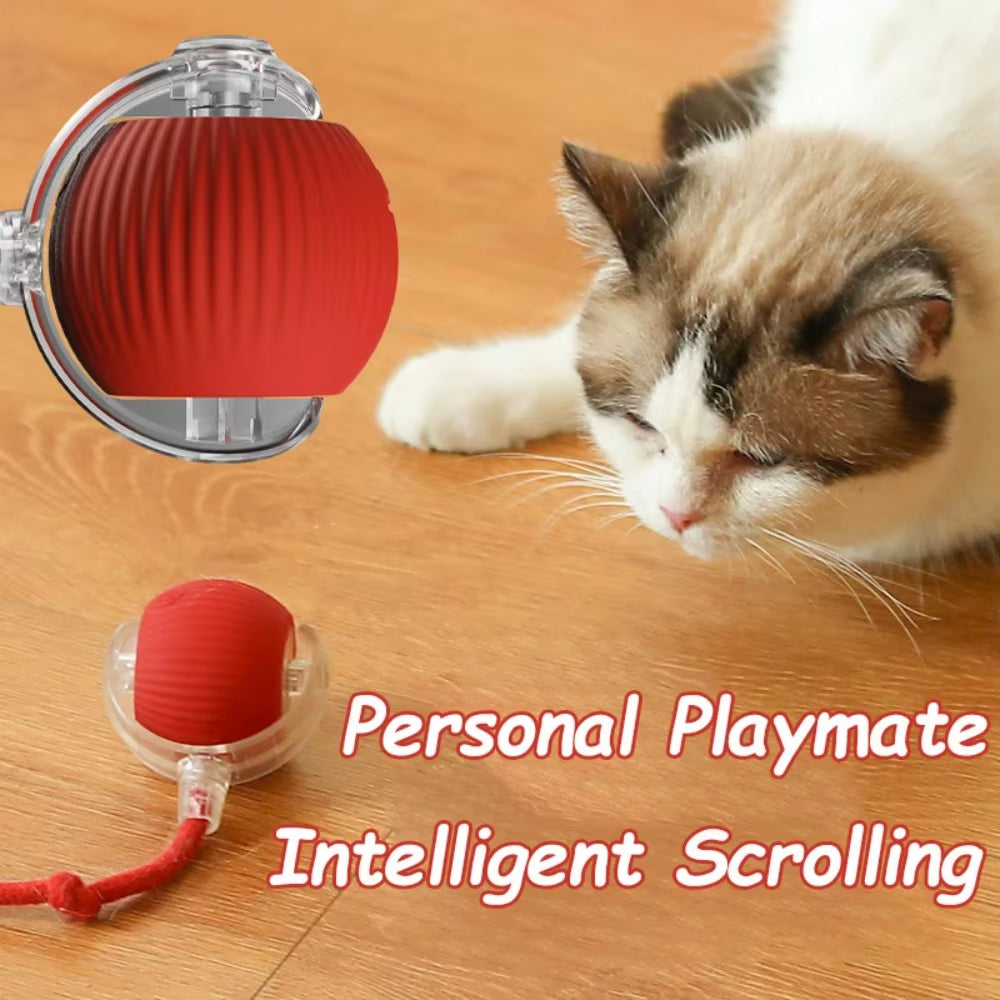 Smart Interactive Cat and Dog Toy - Automatic Rolling Ball with Faux Tail, Rechargeable and Designed for Training and Play