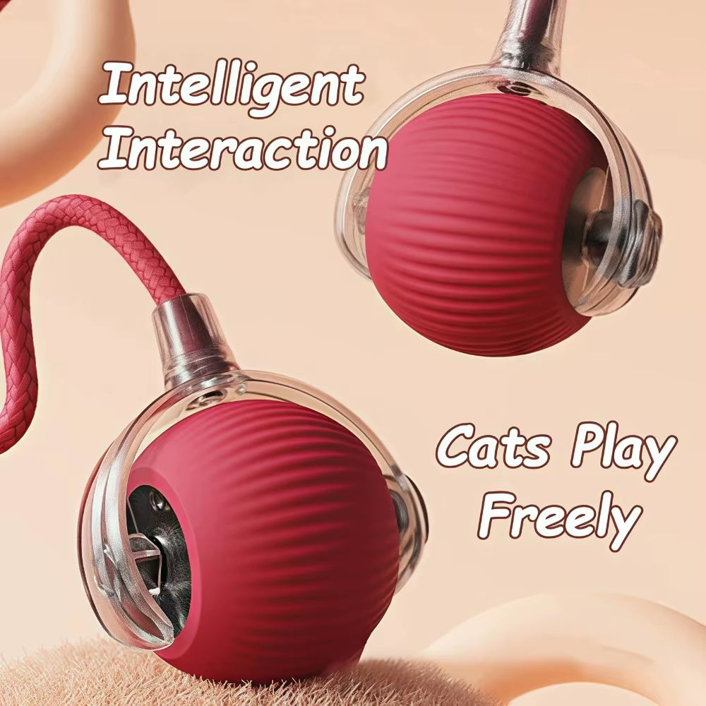 Smart Interactive Cat and Dog Toy - Automatic Rolling Ball with Faux Tail, Rechargeable and Designed for Training and Play