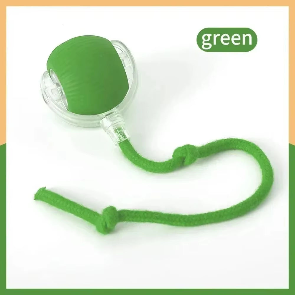 Smart Interactive Cat and Dog Toy - Automatic Rolling Ball with Faux Tail, Rechargeable and Designed for Training and Play