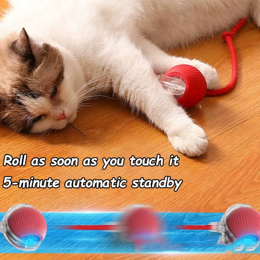 Smart Interactive Cat and Dog Toy - Automatic Rolling Ball with Faux Tail, Rechargeable and Designed for Training and Play