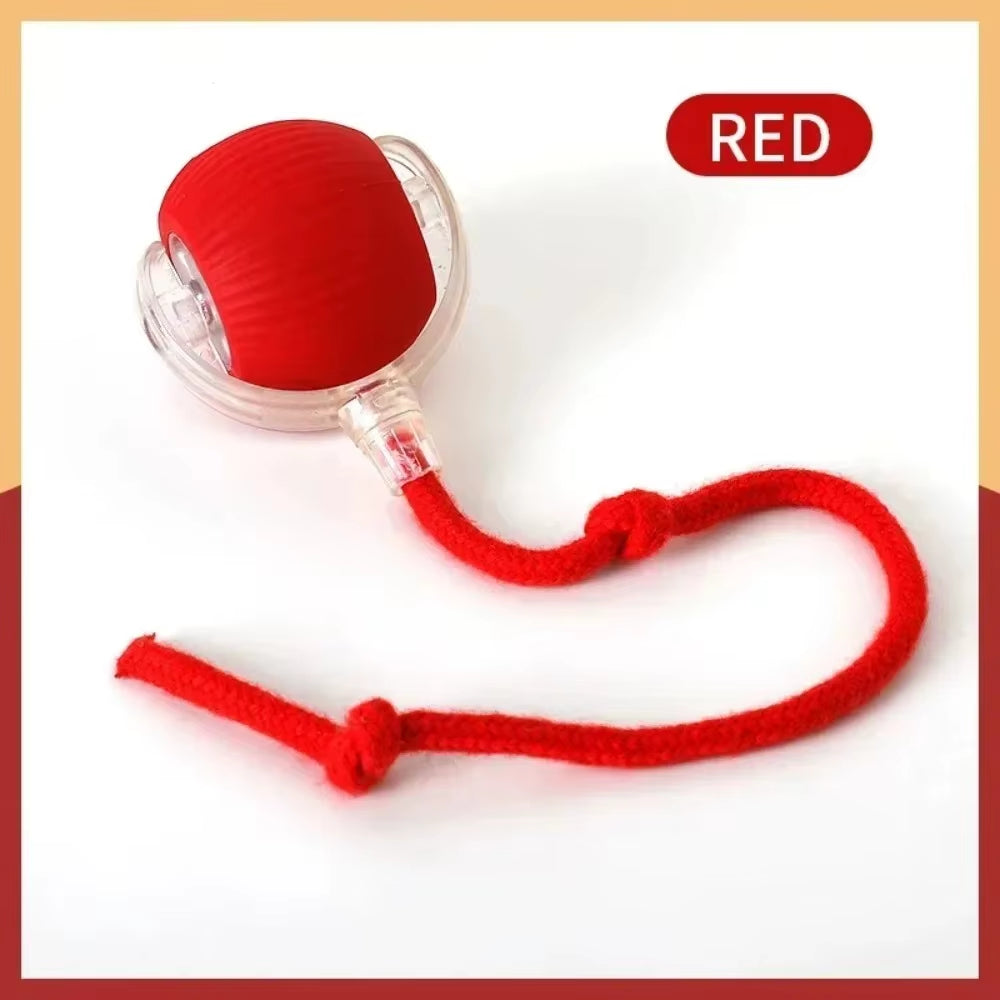 Smart Interactive Cat and Dog Toy - Automatic Rolling Ball with Faux Tail, Rechargeable and Designed for Training and Play