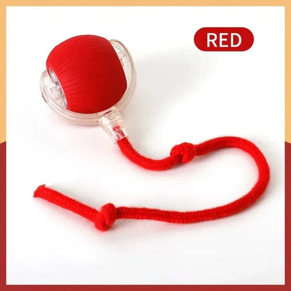 Smart Interactive Cat and Dog Toy - Automatic Rolling Ball with Faux Tail, Rechargeable and Designed for Training and Play